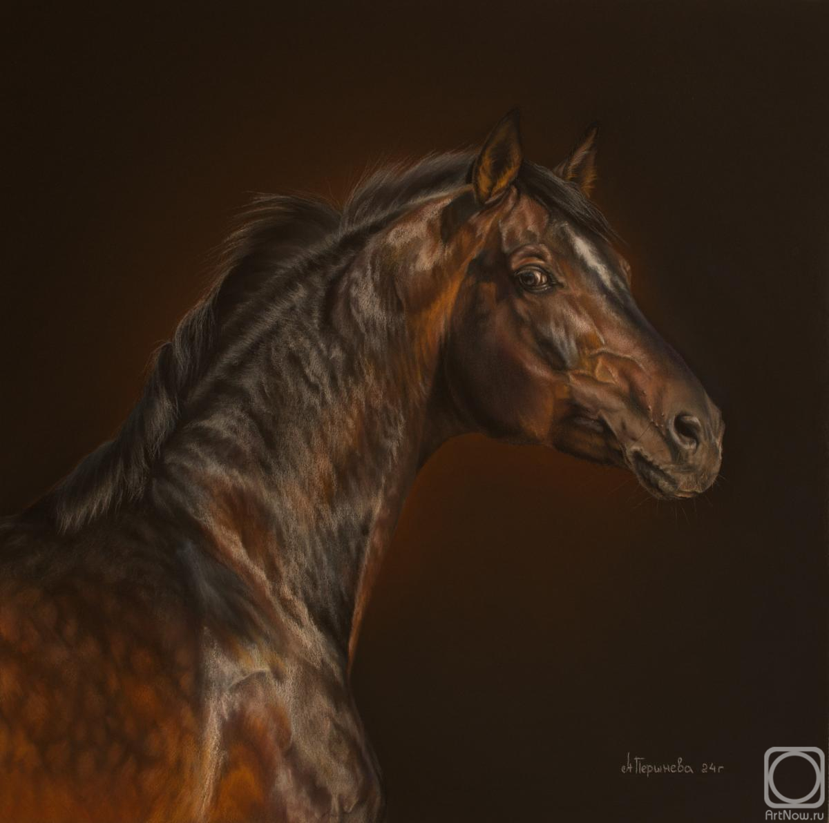 �������. �������� ����. ������� ������