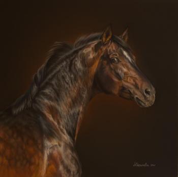 ������� ������