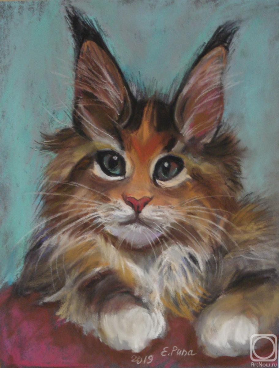 �������. ���� �����. �������