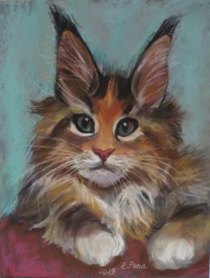 �������. ���� �����