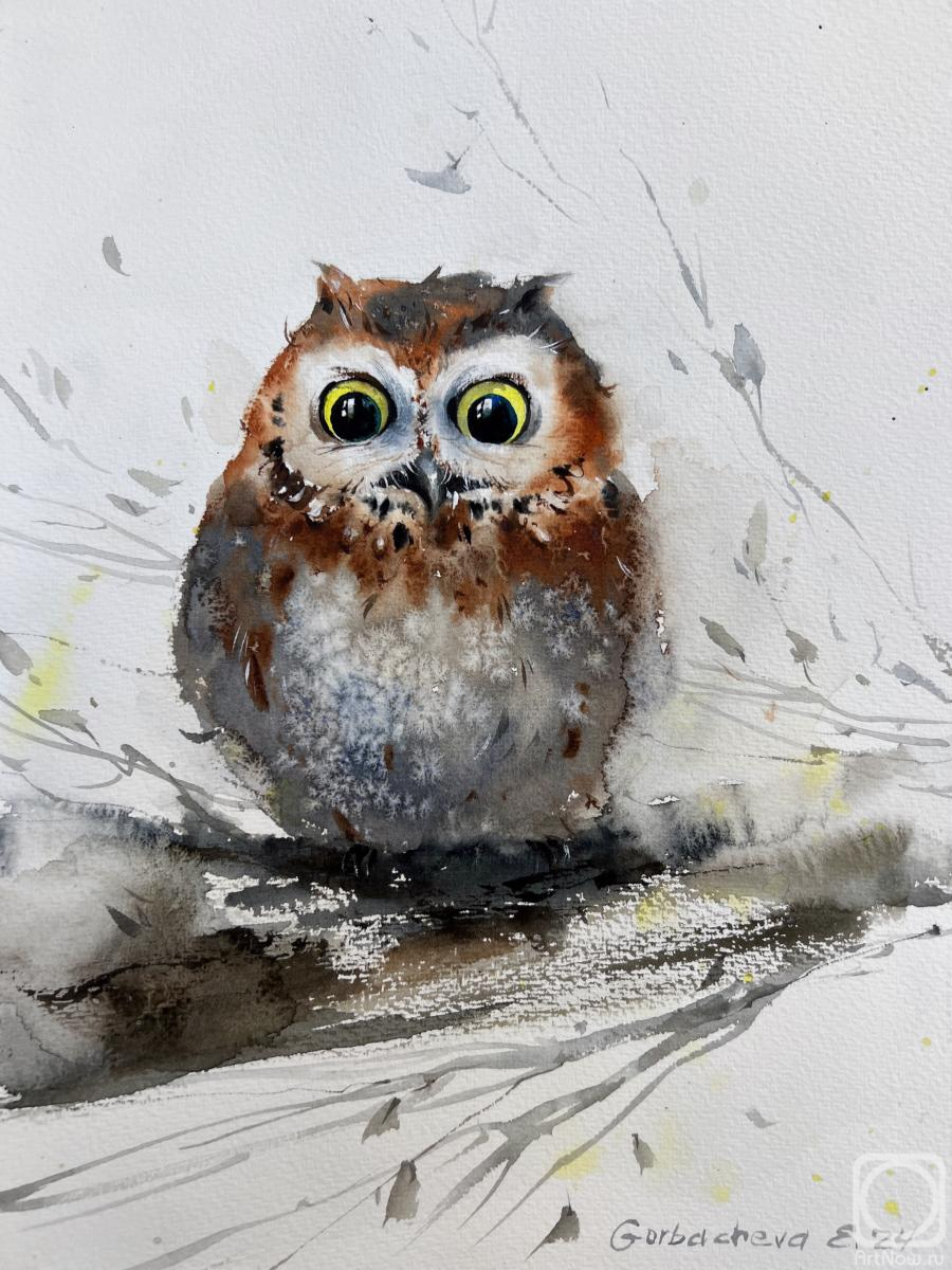 �������. ��������� �������. ������� �� ����� 18