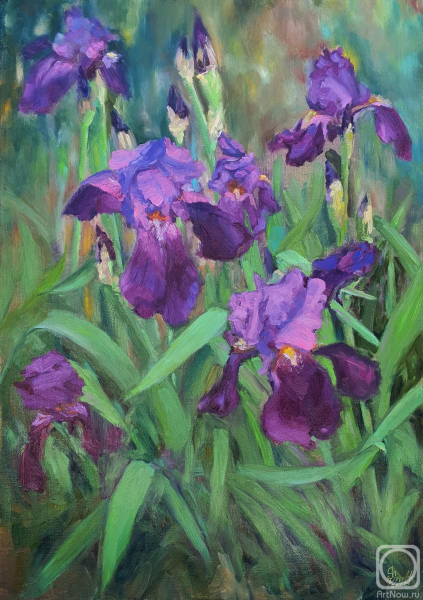 Svoff Svetlana. Irises