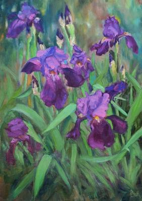 Irises