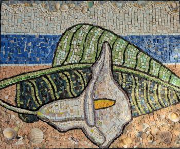 ������� ����. �������� �����