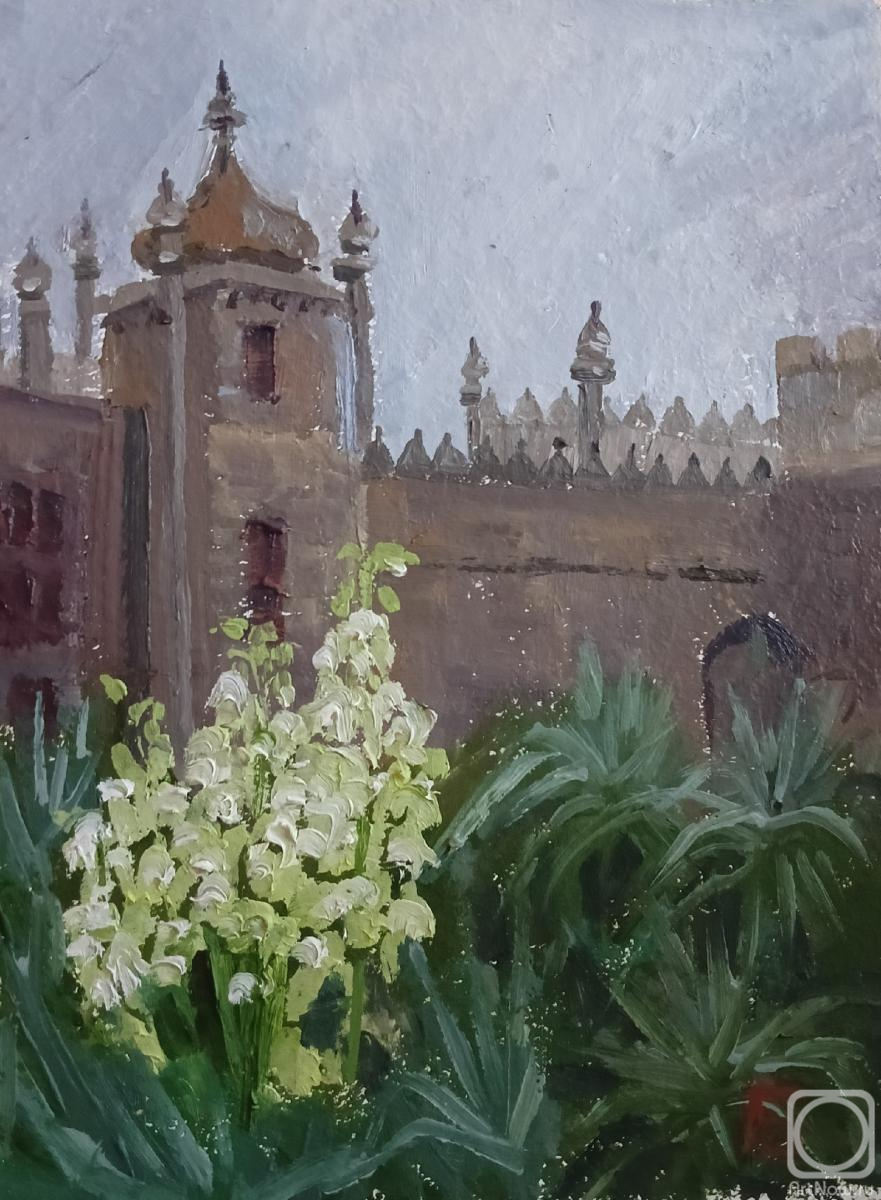 �������. ����������� �����. ���� � ������