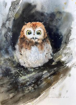 Owl in a hollow. Gorbacheva Evgeniya