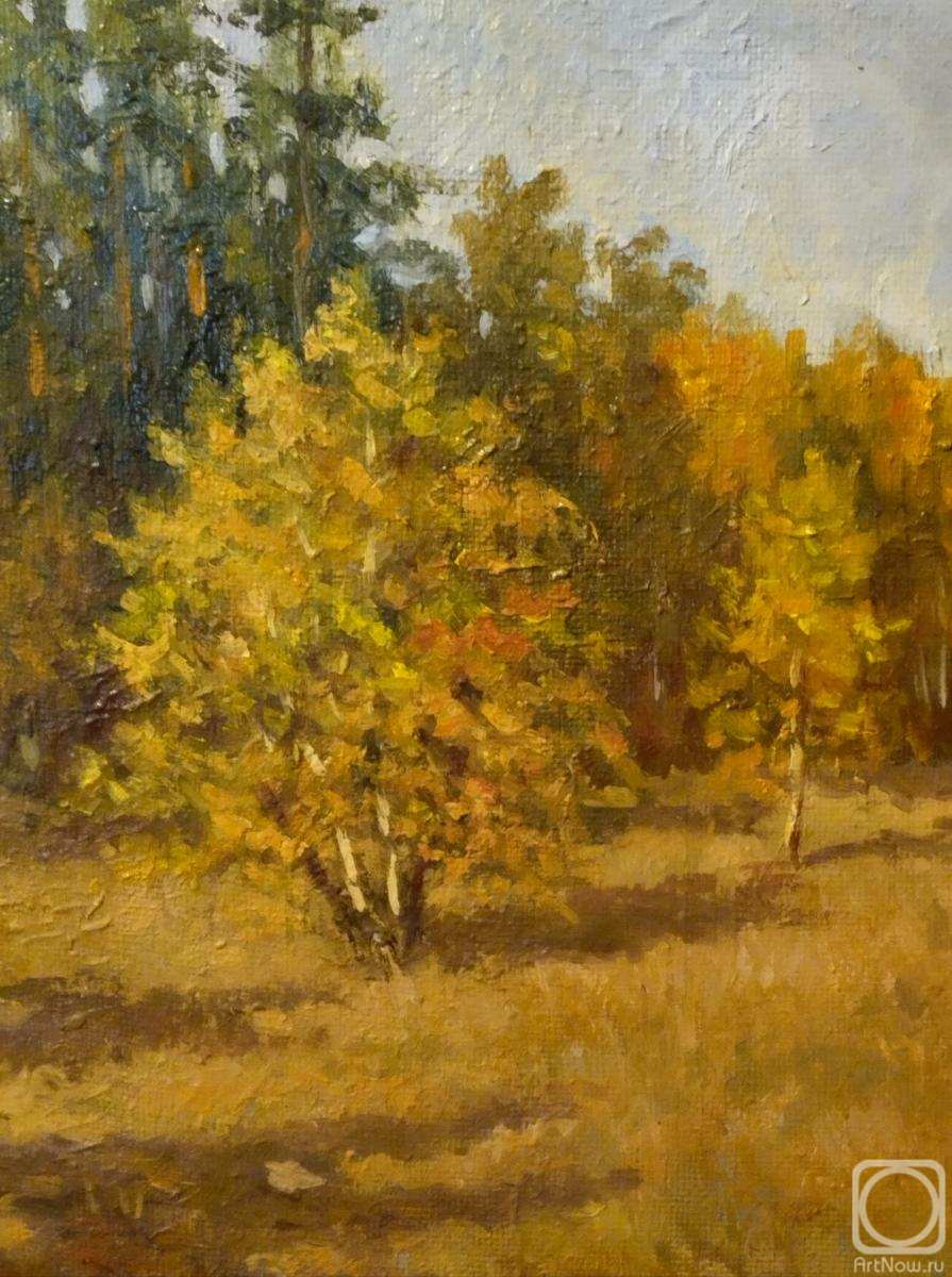 �������. ����� ������. �������