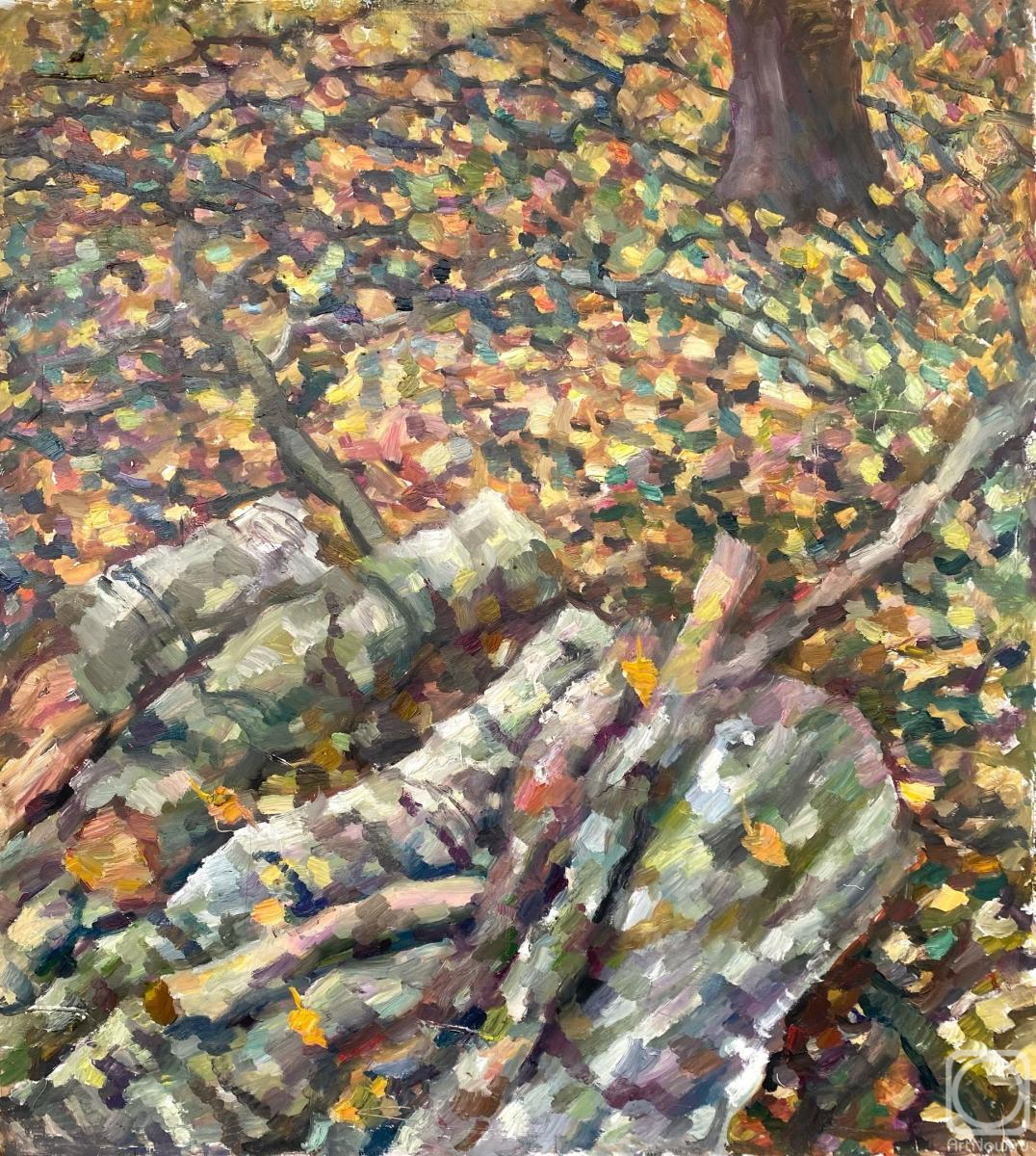 �������. ������ ��������. �������