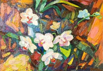 ������� ���� ����� ��������