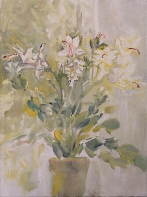 ������� ������ ��������� ������ ��������� ������ � �������