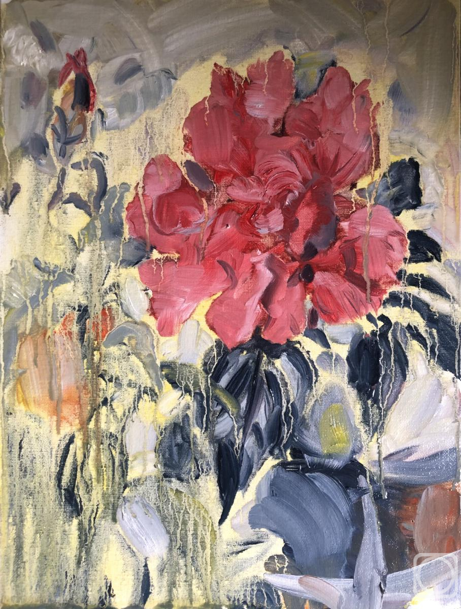 ������� ������ �� ������. ����� ������. ��������� ������� ���� ��������