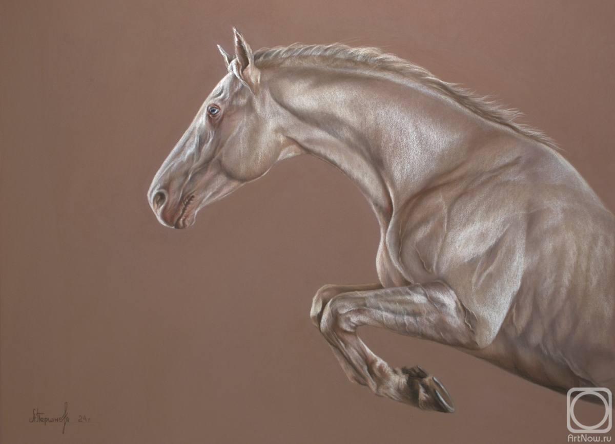 Pershneva Anna. Pearl