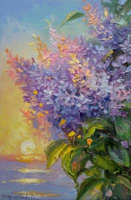 Evening lilac