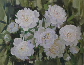 White peonies