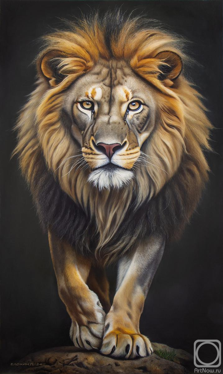 ������� ������ �� ������. ������ �����. ���