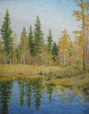 ������� ���������� �����