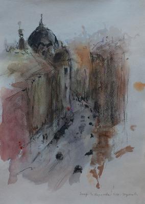 Saint Petersburg. Nekrasova Street. Shulga Oksana