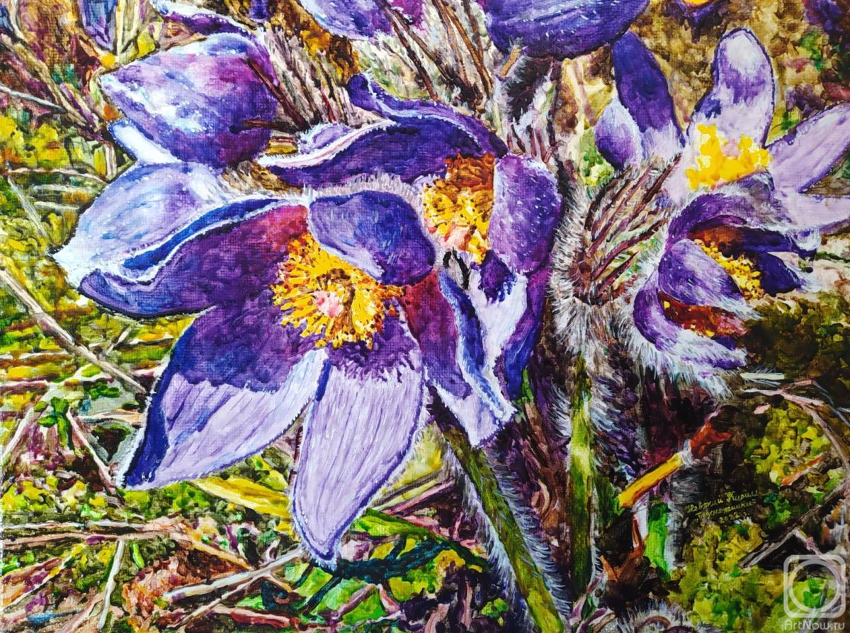 Nevskiy Kirill. Snowdrops