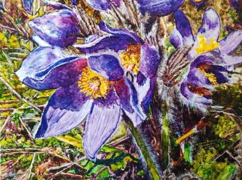 Snowdrops. Nevskiy Kirill