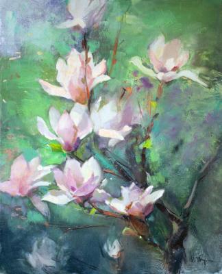 Magnolia