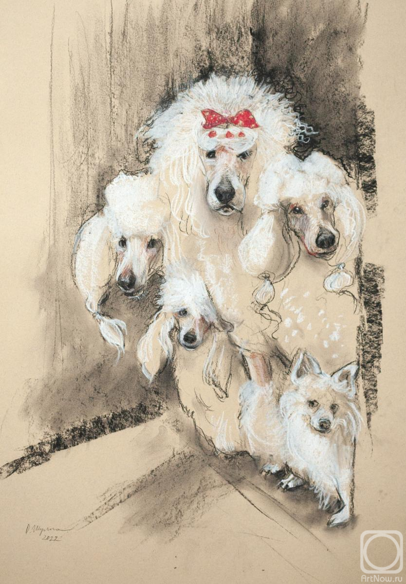 �������. ������ ������. �������� �������