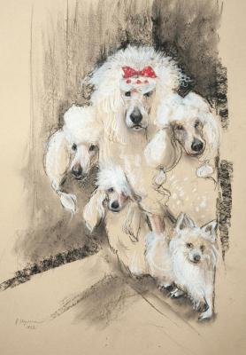 Circus performers. Shulga Oksana