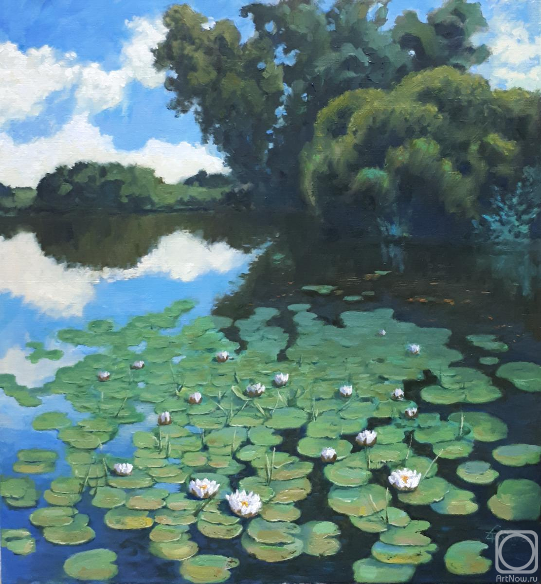 ������� ������ �� ������. ������ ������. ���������. ������������ ����