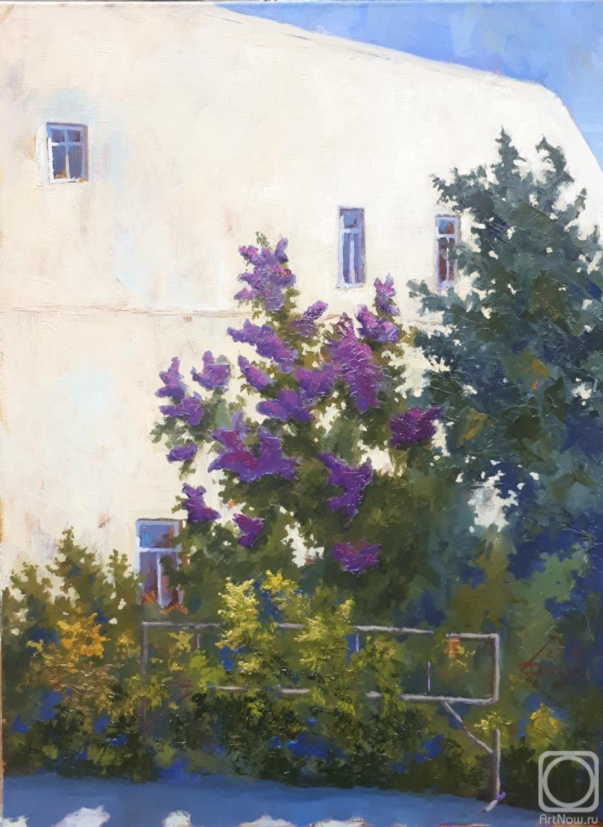 ������� ������ �� ������. ������ ������. �����, ���������� �������