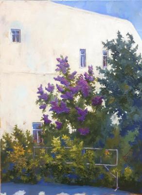 A wall lit by the sun