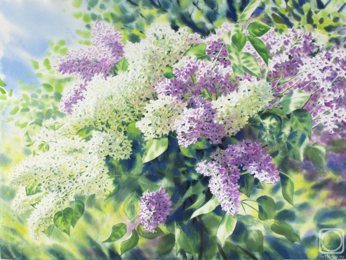 �������. �������� ������. ����� ������