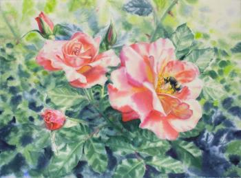 ������� ���� � �����. �������� ������