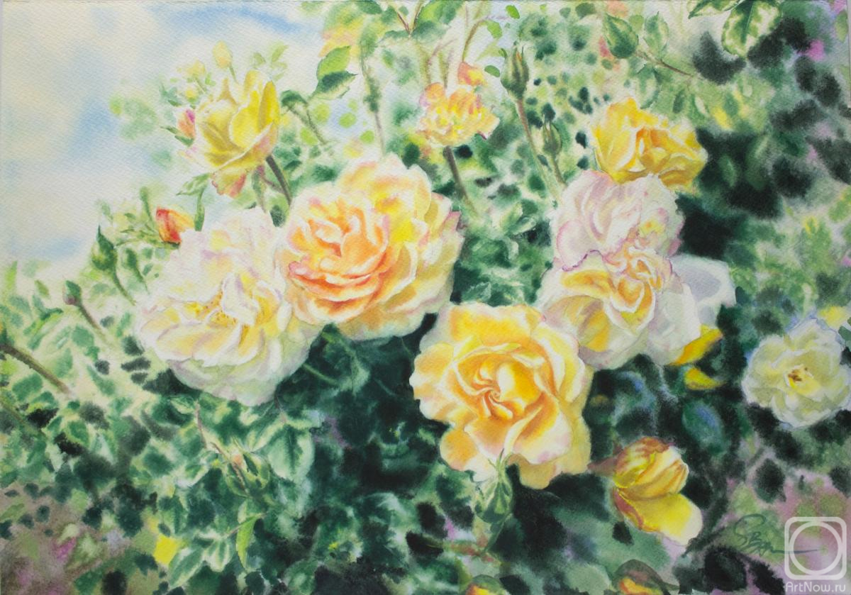 �������. �������� ������. ���� ����