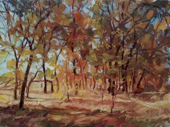 ������� ����. ������� ��������