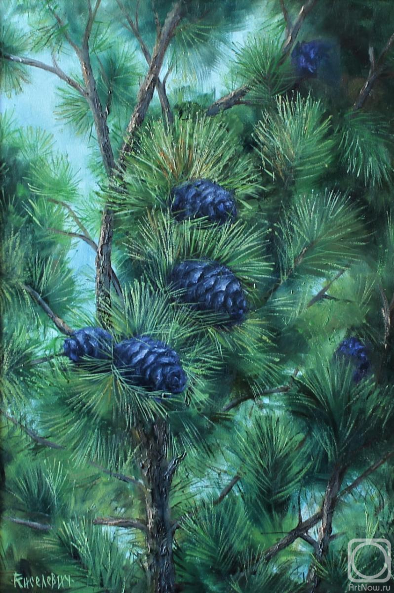 ������� ������ �� ������. ��������� ��������. ��������� �����