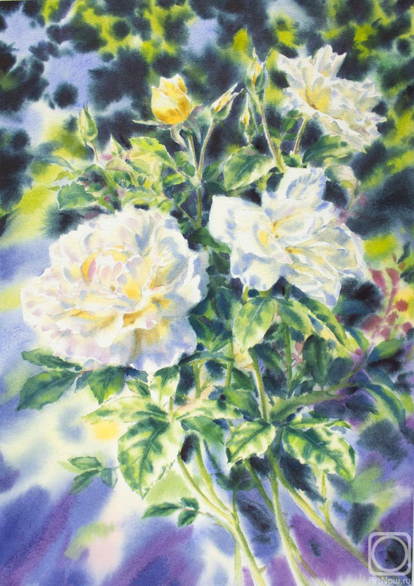 �������. �������� ������. ��� ����