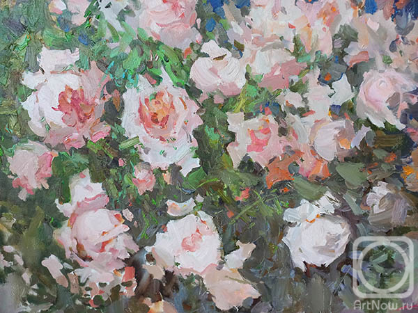 ������� ������ �� ������. ��������� ����. ���� � ����