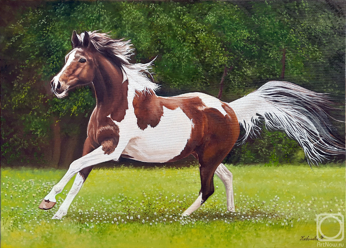 ������� ������ �� ������. �������� �������. �� ��������