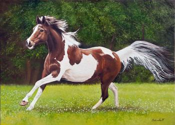 �� ��������. �������� �������