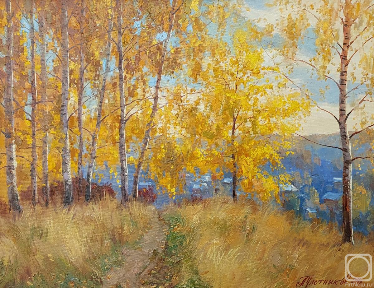 Plotnikov Alexander. Autumn is golden. Plyos