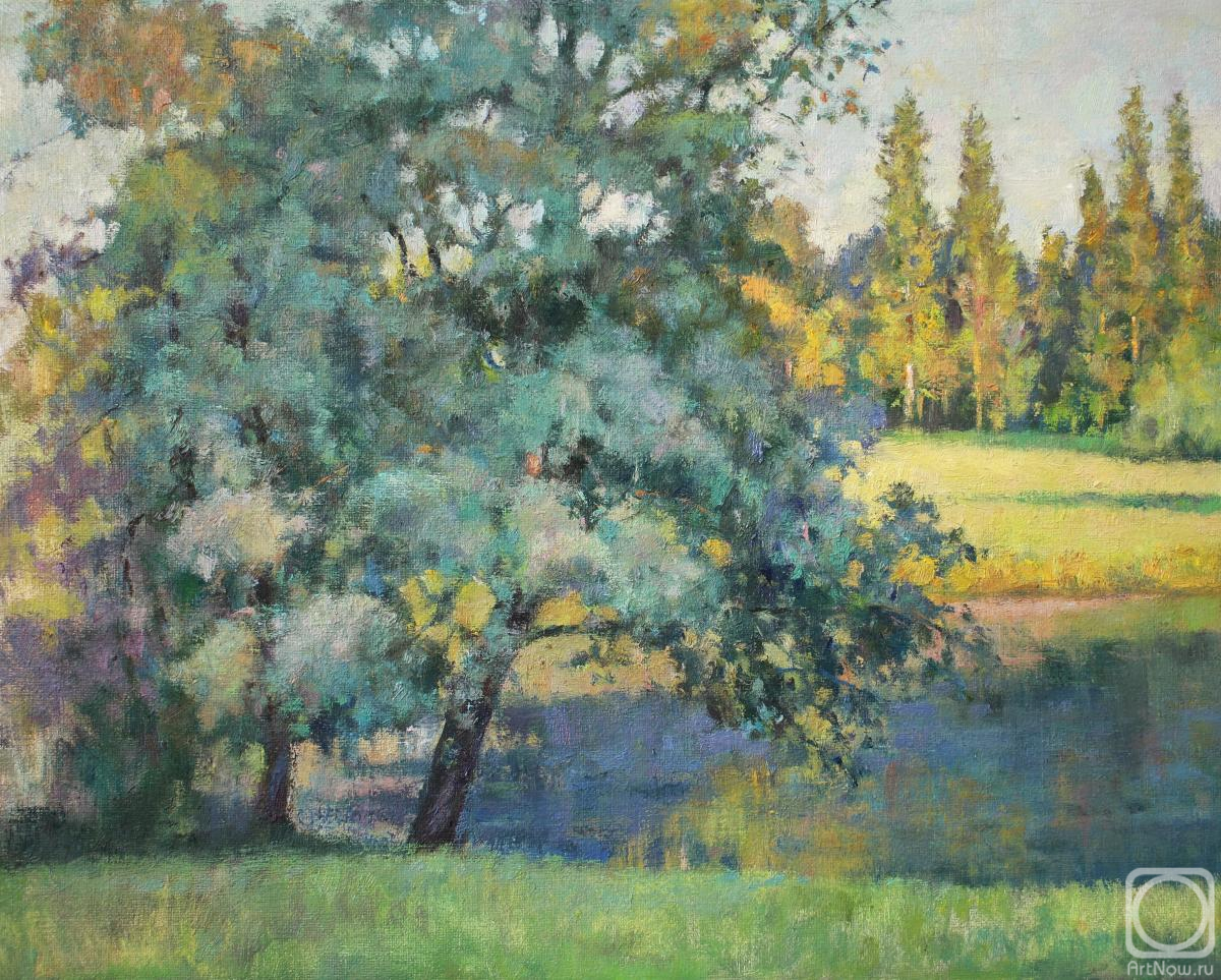 ������� ������ �� ������. ���������� ����. �������������� ����