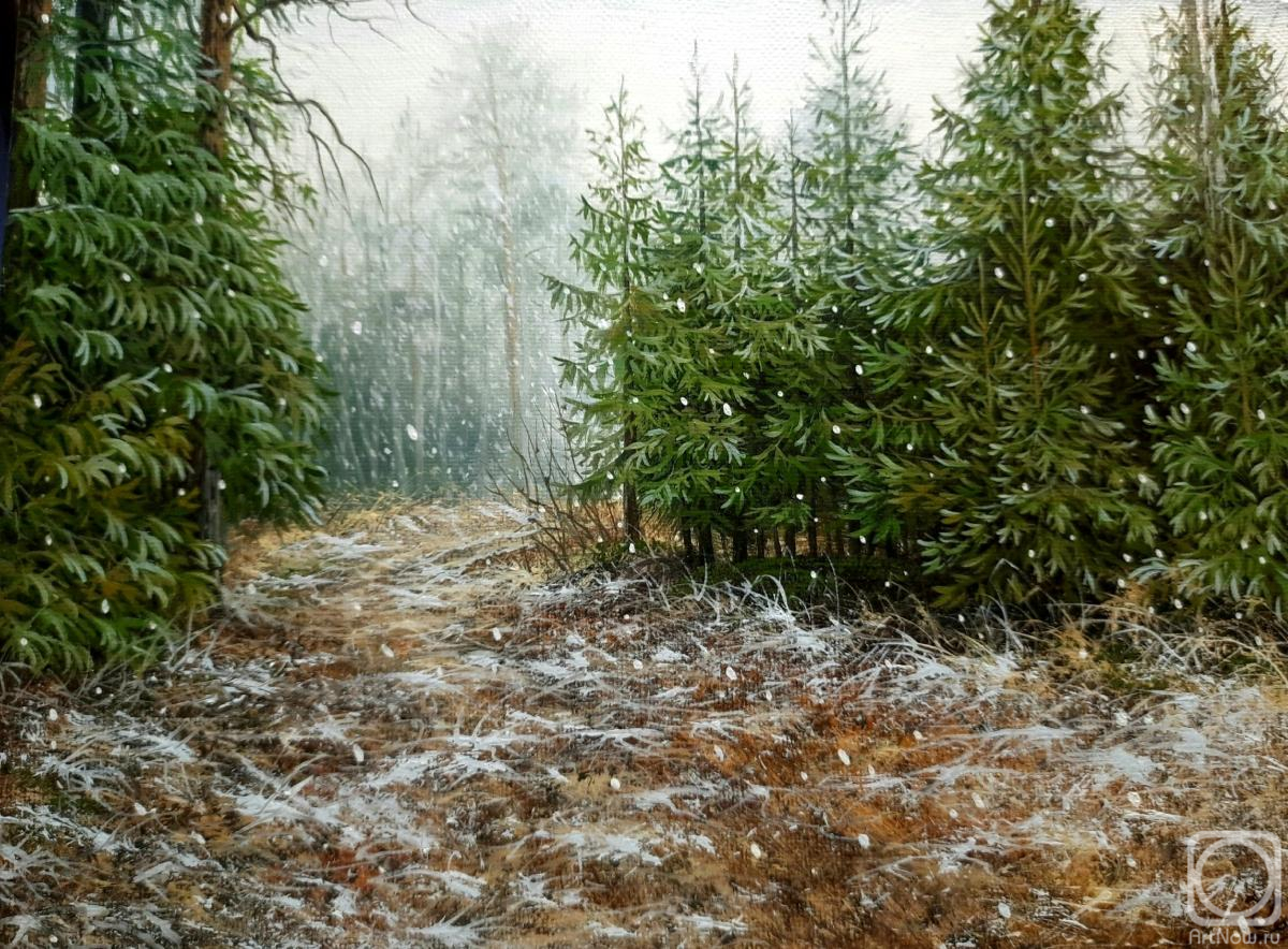 ������� ������ �� ������. ��������� �����. ������ ����