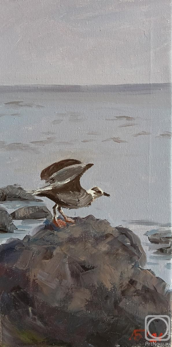 ������� ������ �� ������. ����������� �����. �����