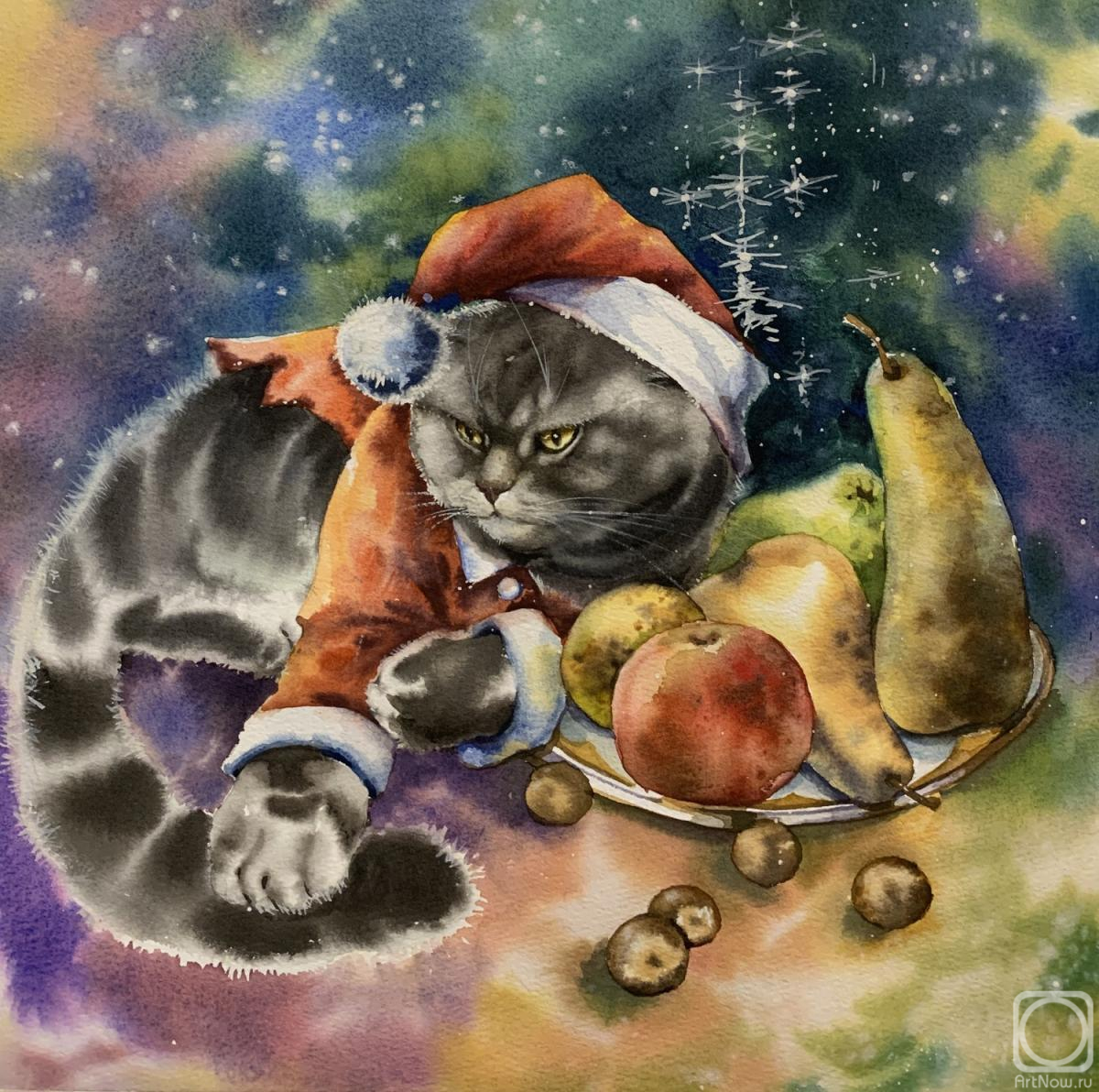 Stoylik liudmila. A new cat