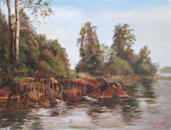 �� ���� ������. ������ �������