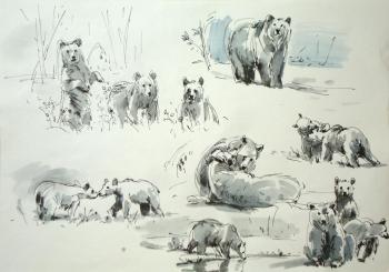 Картина «Зарисовки медведей»