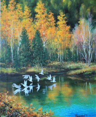 ���� �� �������. ��������� ��������