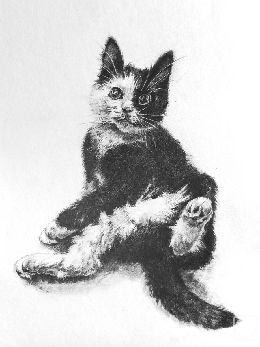 �������. �������� ��������. ��� ��������