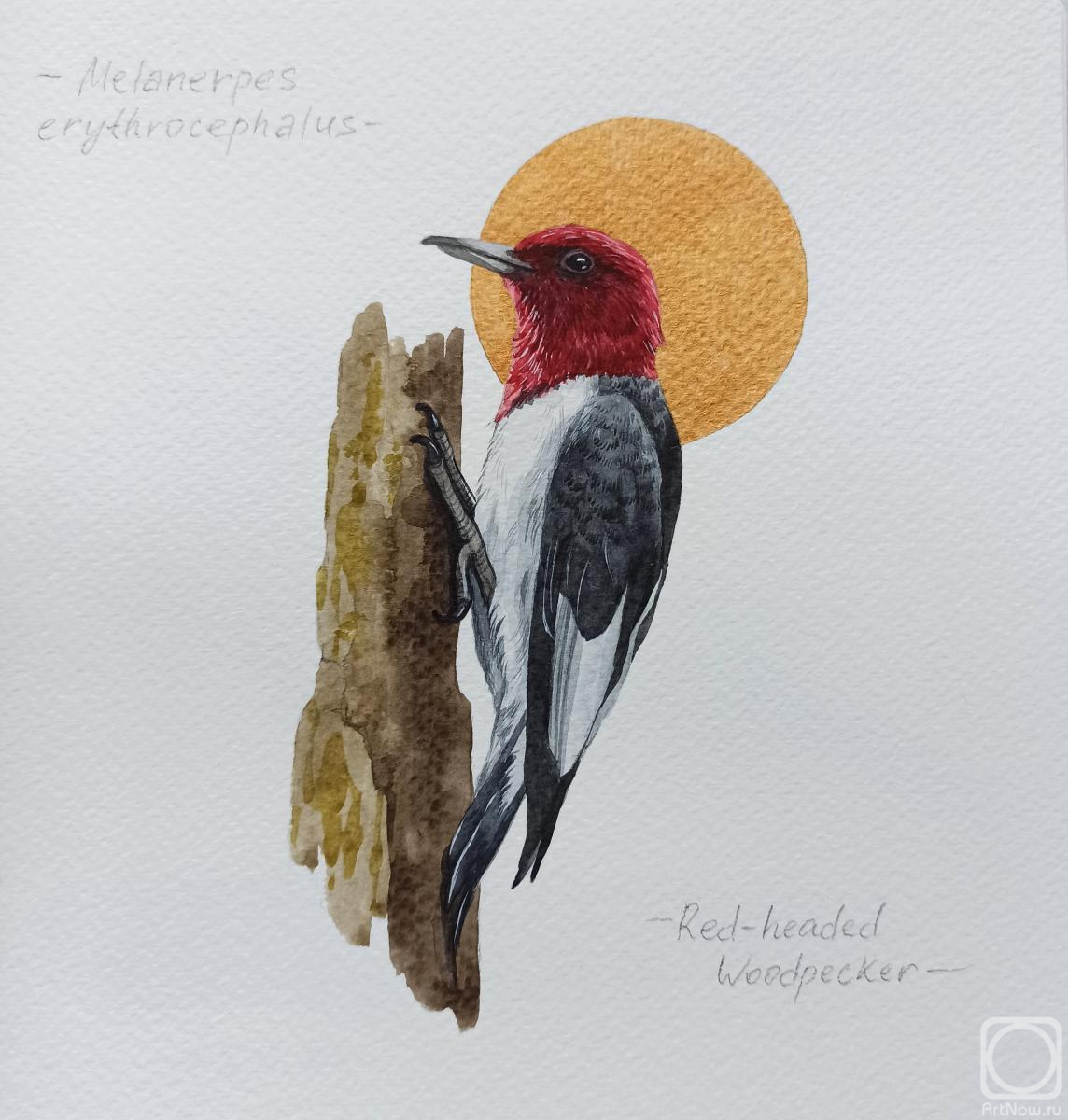 �������. �������� ���������. �����. ������������� �����