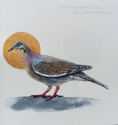 �����. ���������� �������. �������� ���������