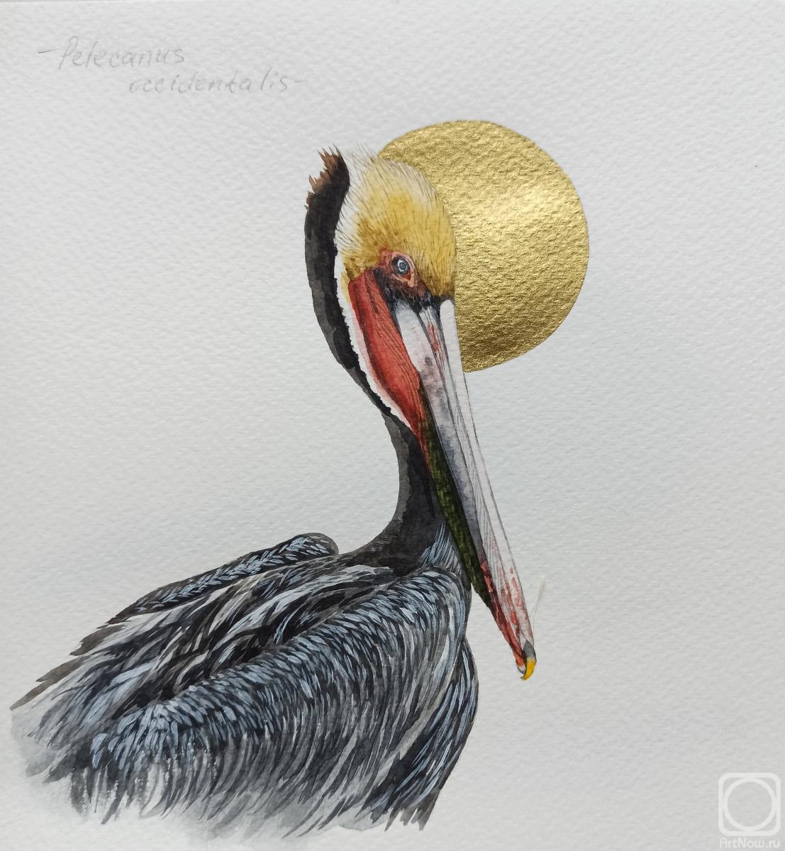 �������. �������� ���������. �����. ������������ ����� �������